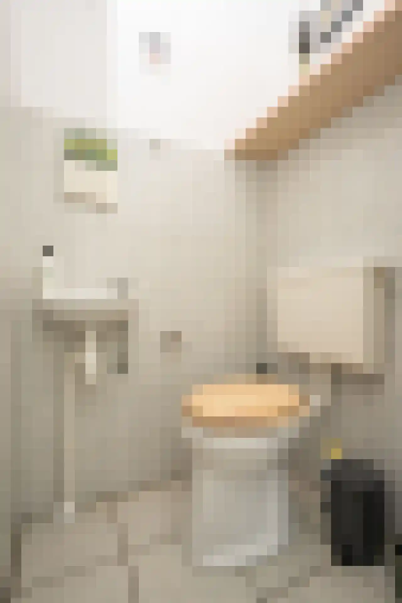 Buytengors 110 Den Burg thumbnail 22