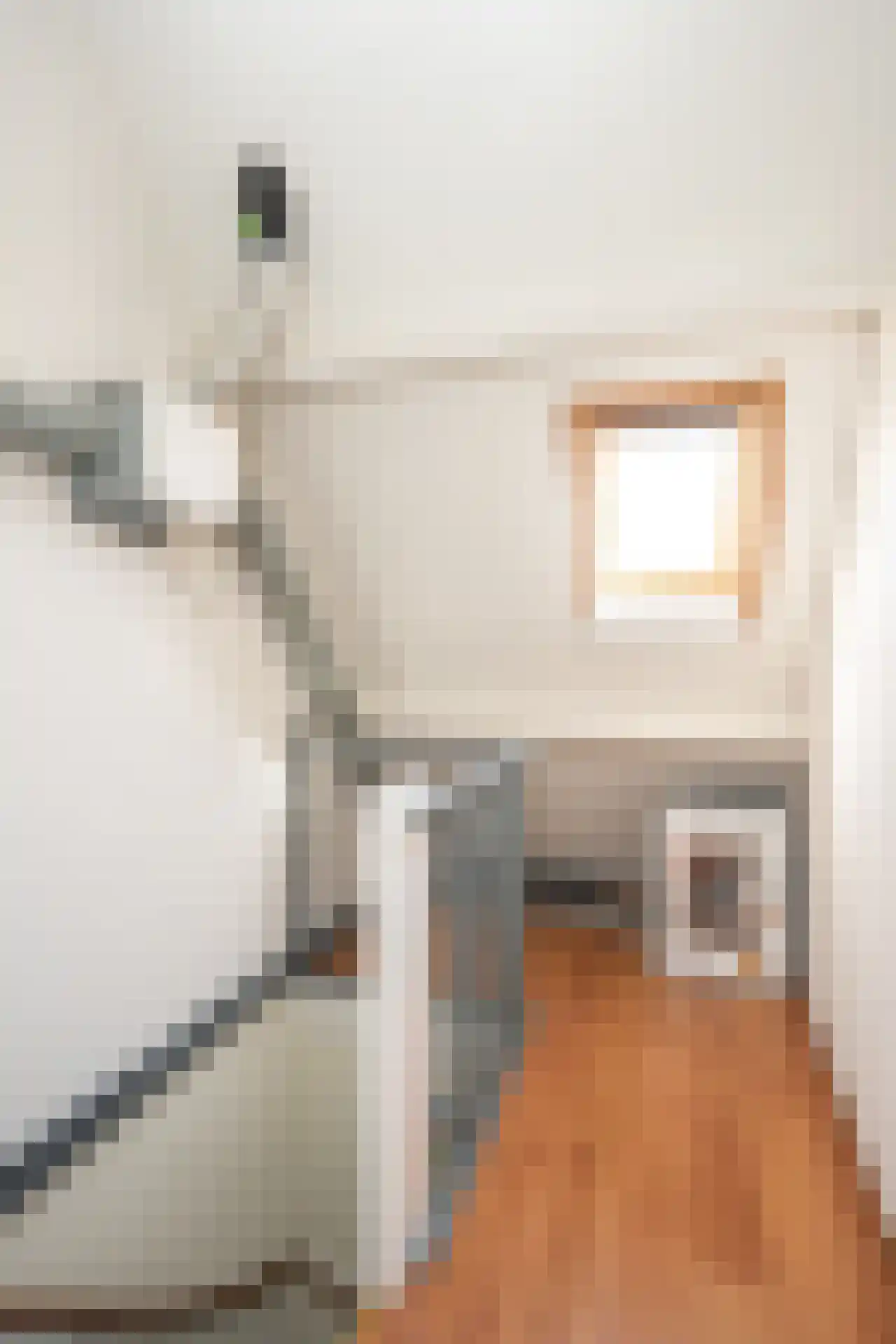 Buytengors 110 Den Burg thumbnail 35
