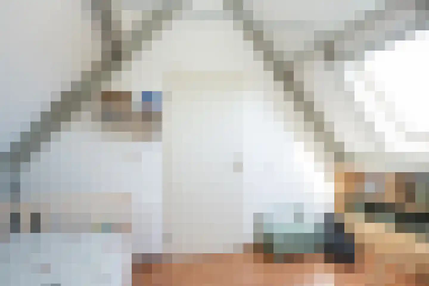 Buytengors 110 Den Burg thumbnail 40