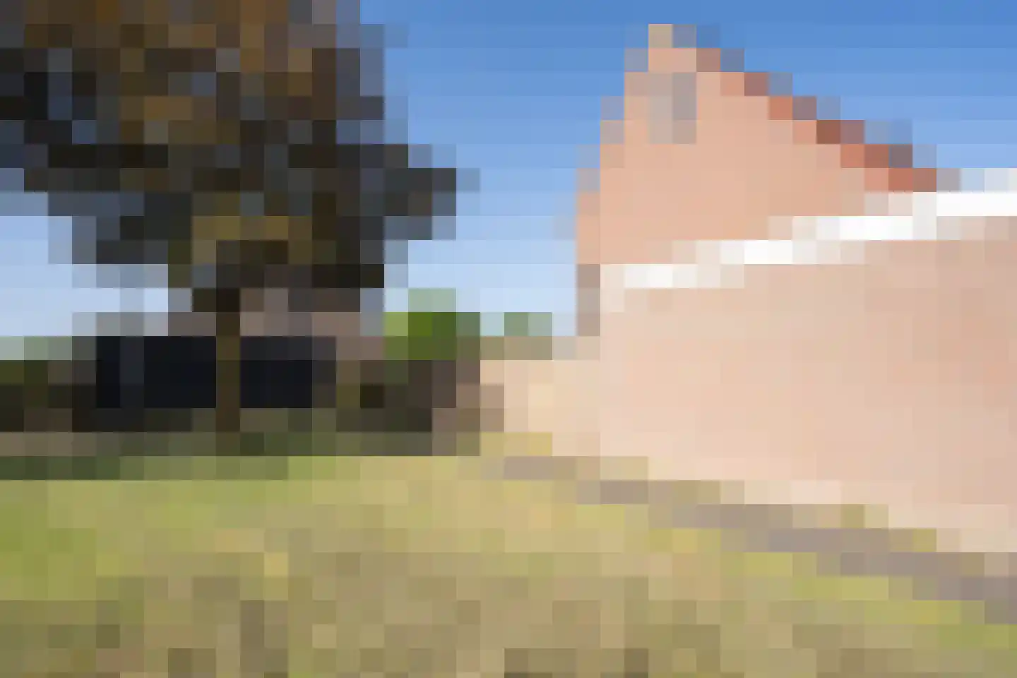 Buytengors 110 Den Burg thumbnail 41