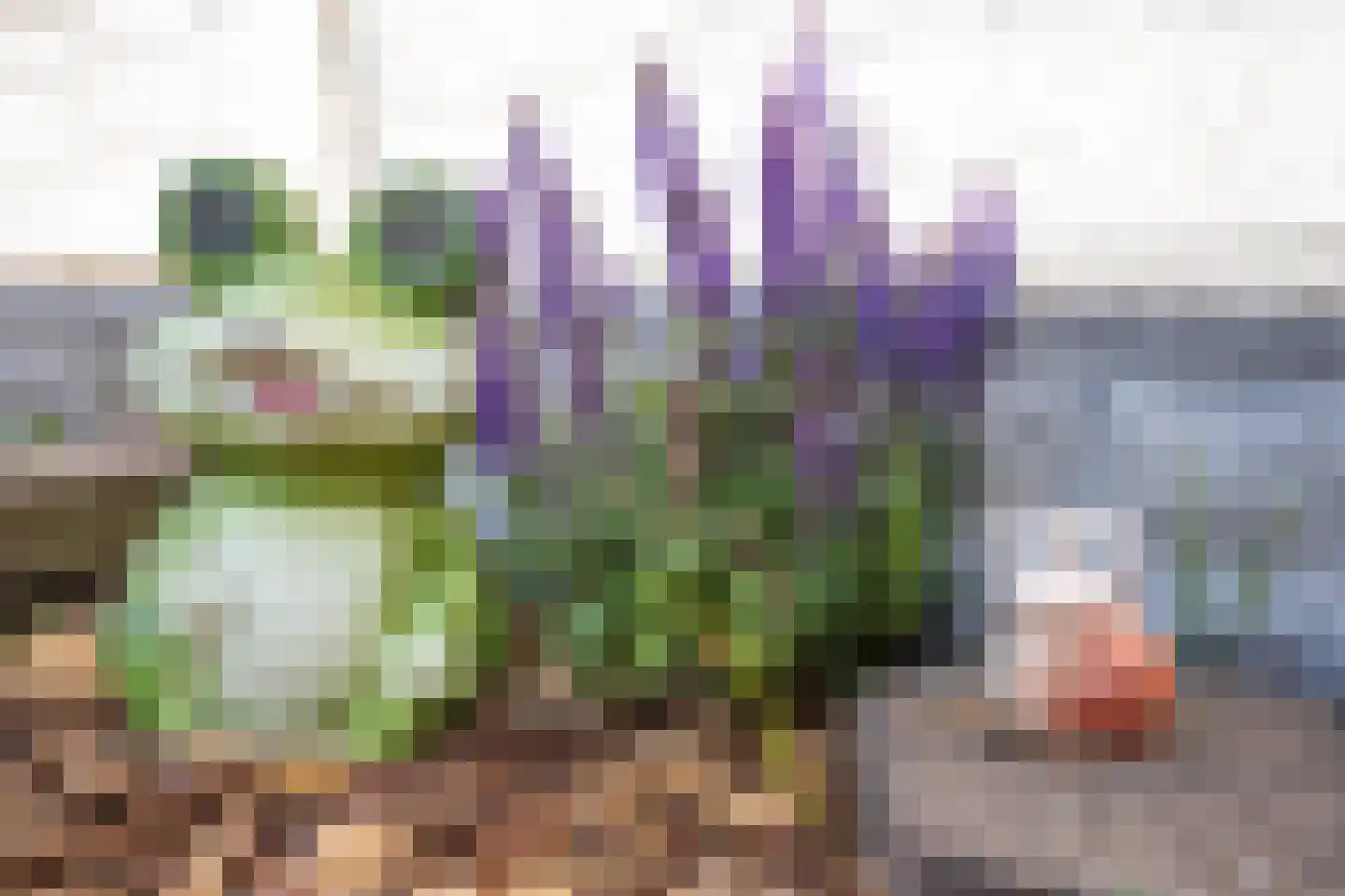 Buytengors 110 Den Burg thumbnail 49