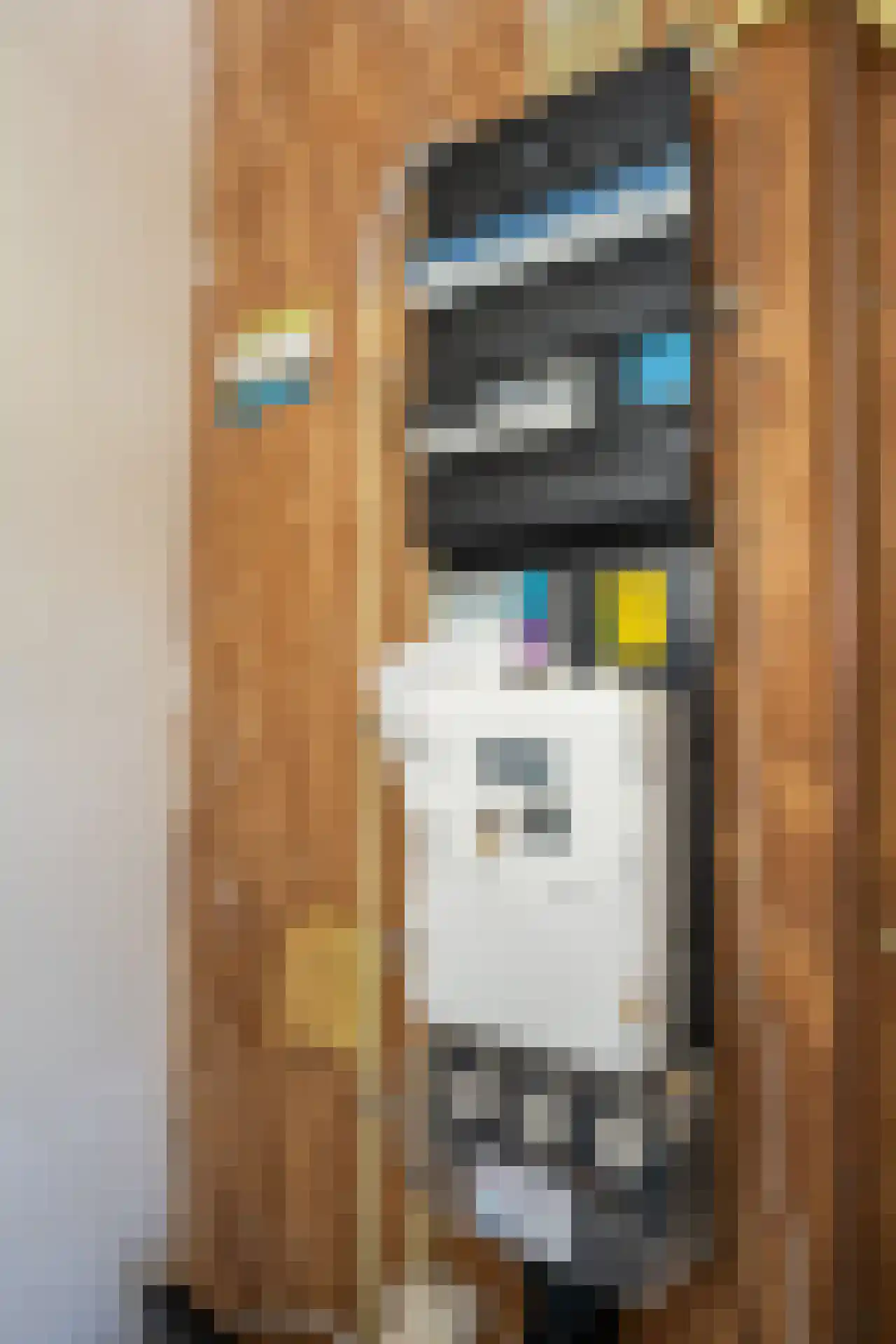 Buytengors 110 Den Burg thumbnail 9