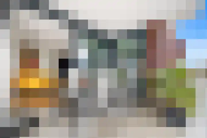 Buytenhof 13 Voorburg thumbnail 13