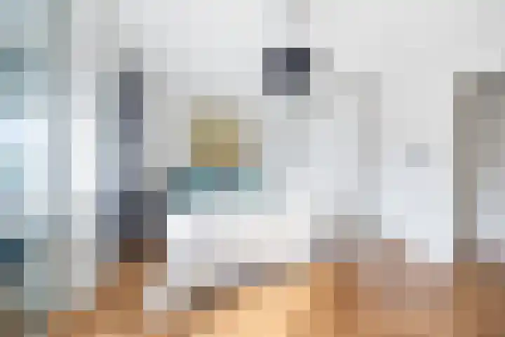 Buytenhof 13 Voorburg thumbnail 19