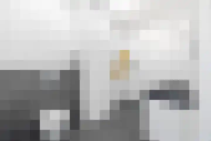 Buytenhof 13 Voorburg thumbnail 23