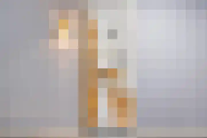 Buytenhof 13 Voorburg thumbnail 4
