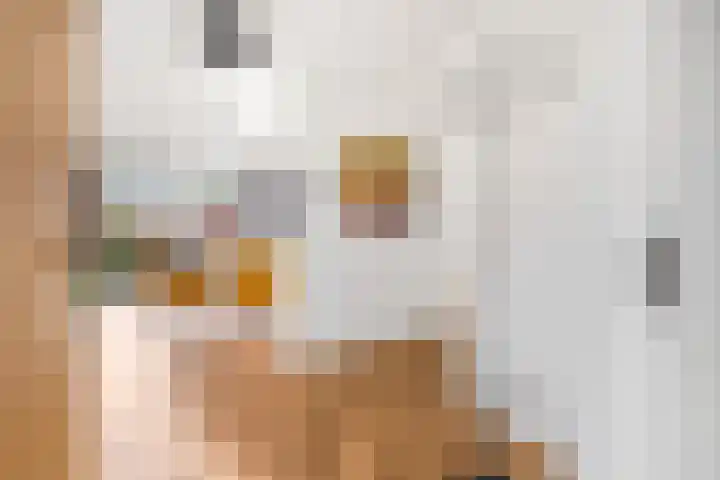 Buytenhof 13 Voorburg thumbnail 5