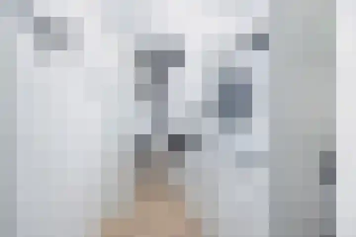 Buytenhof 22 Voorburg thumbnail 15