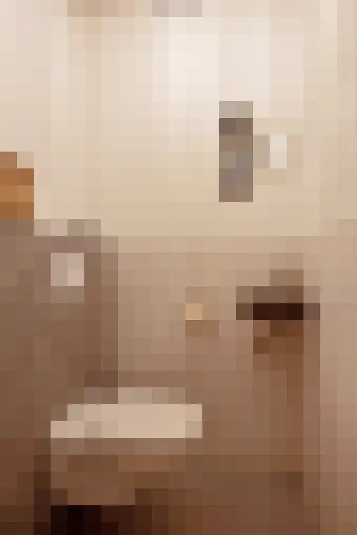 Buytenhof 7 Voorburg thumbnail 12