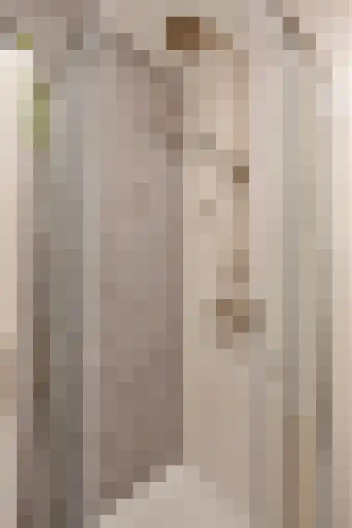 Buytenhof 7 Voorburg thumbnail 28