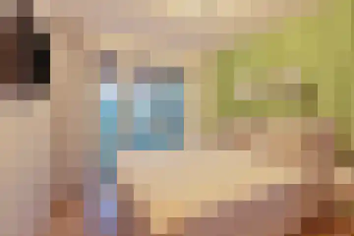Buytenhof 7 Voorburg thumbnail 4