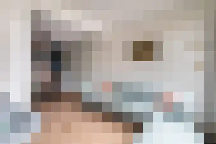 Buytenhof 8 Voorburg thumbnail 21