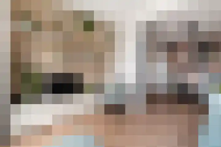 Buytenhof 8 Voorburg thumbnail 22