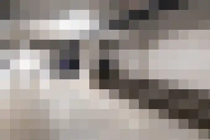 Buytenhof 8 Voorburg thumbnail 38