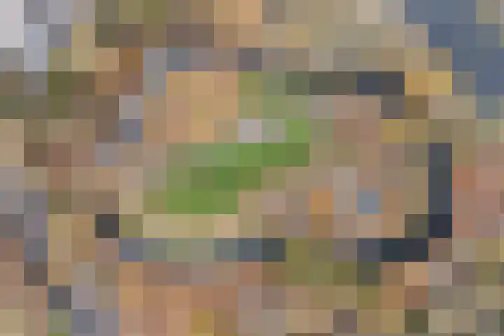 Buytenhof 8 Voorburg thumbnail 39