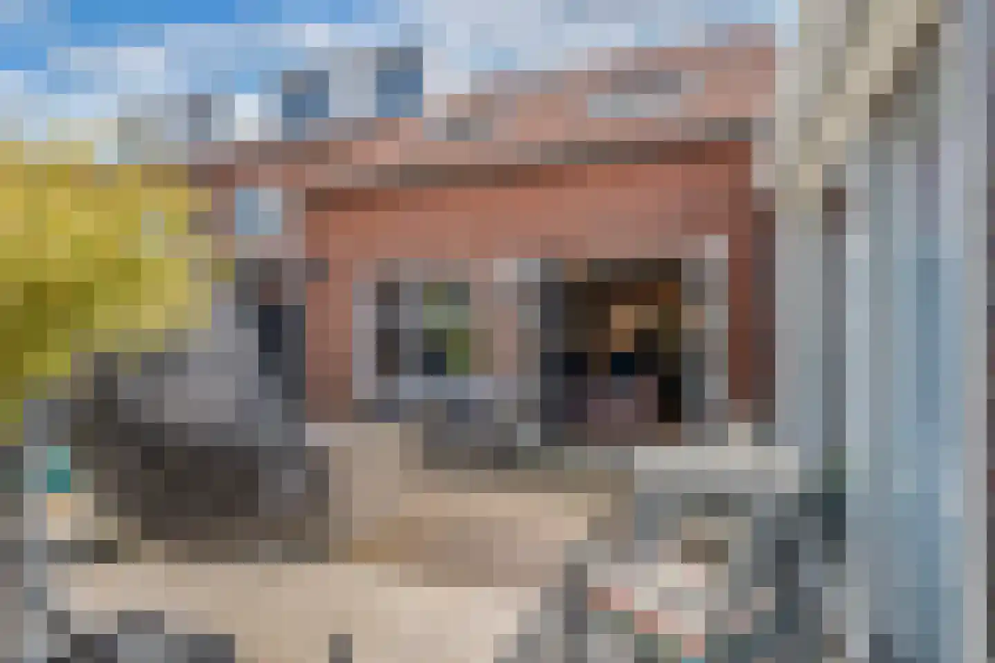 Buziaulaan 35 Beverwijk thumbnail 39