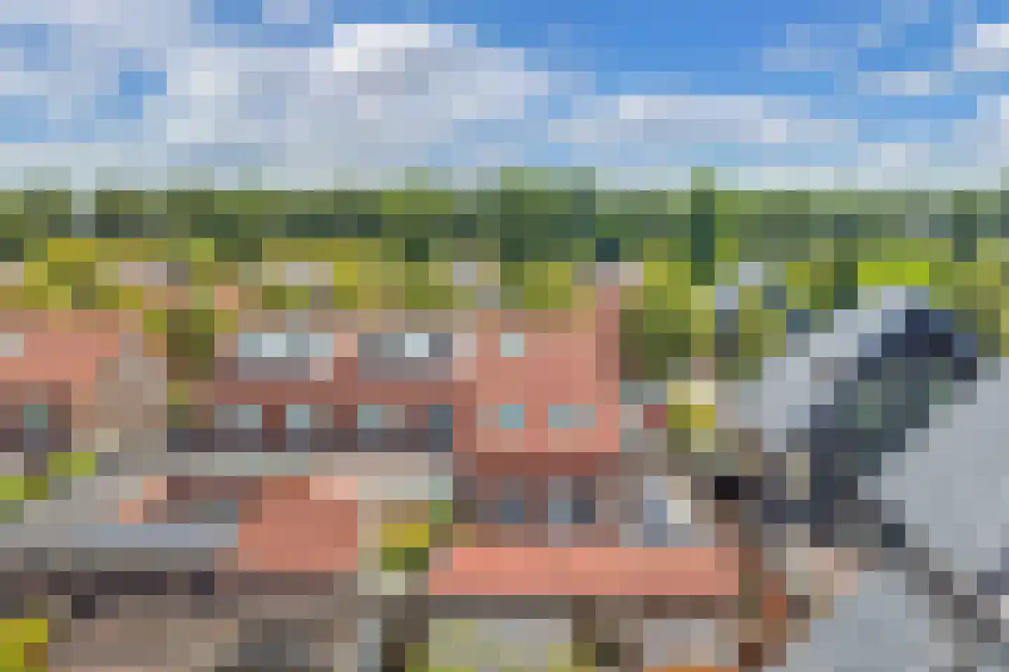 Buziaulaan 35 Beverwijk thumbnail 40