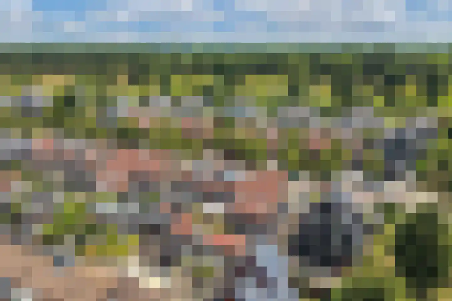 Buziaulaan 35 Beverwijk thumbnail 45
