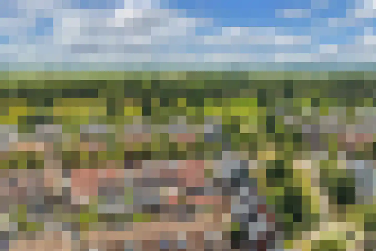 Buziaulaan 35 Beverwijk thumbnail 46