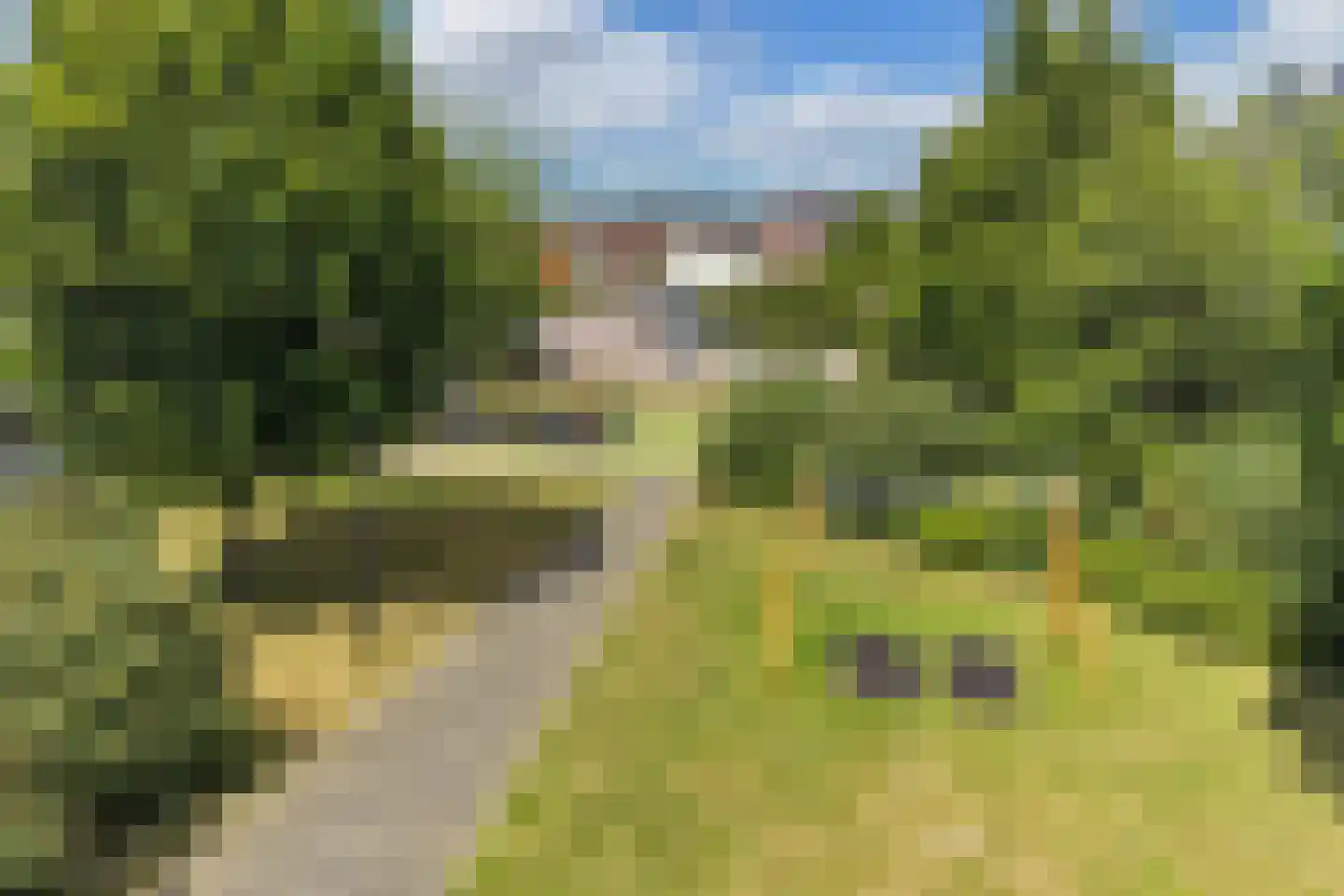 Buziaulaan 35 Beverwijk thumbnail 47