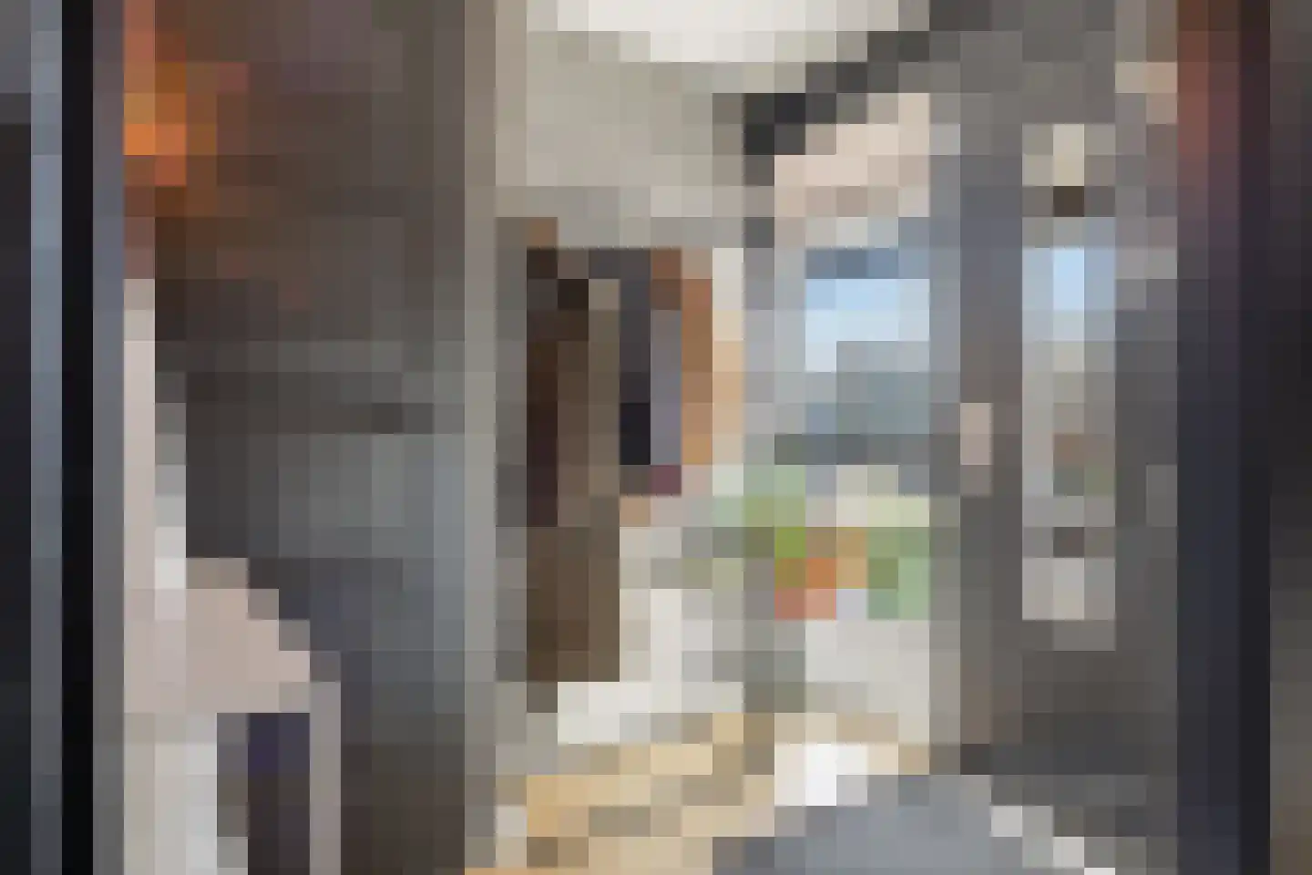 Buziaulaan 54 Beverwijk thumbnail 30