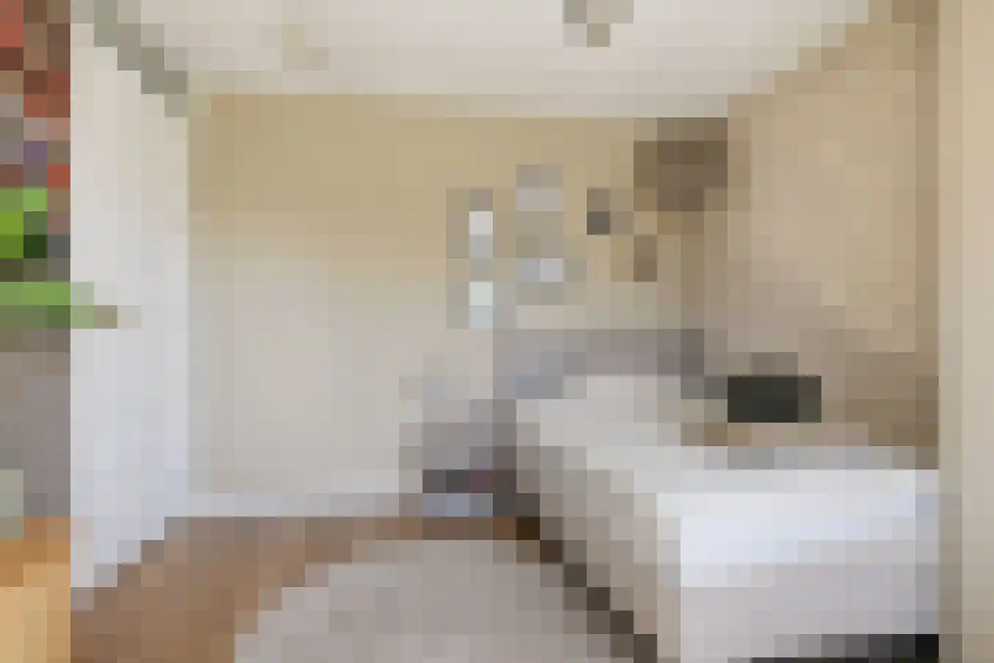 Buziaulaan 54 Beverwijk thumbnail 38