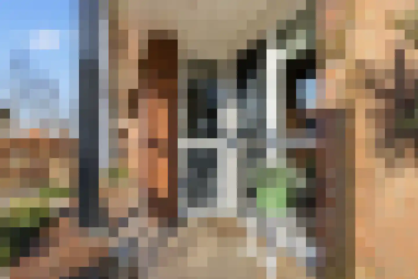 Buziaulaan 54 Beverwijk thumbnail 49