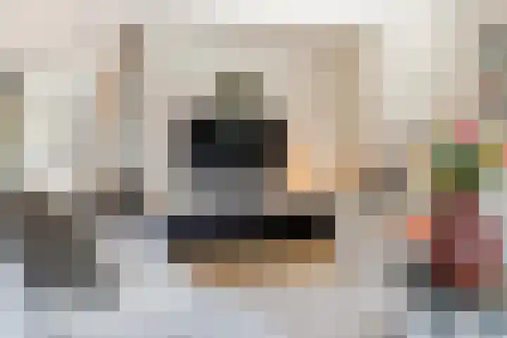 Buziaulaan 54 Beverwijk thumbnail 8