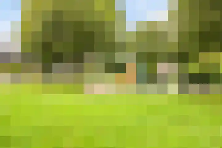 Buziaulaan 55 Beverwijk thumbnail 27