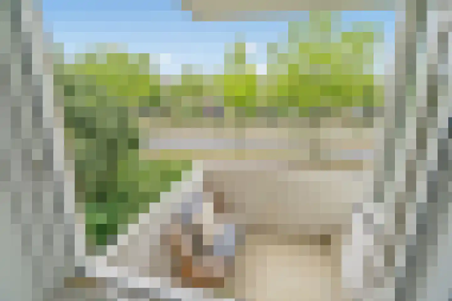 Buziaulaan 81 Rijswijk thumbnail 11