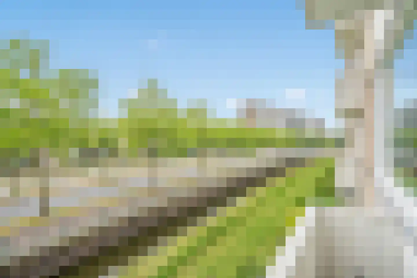Buziaulaan 81 Rijswijk thumbnail 12