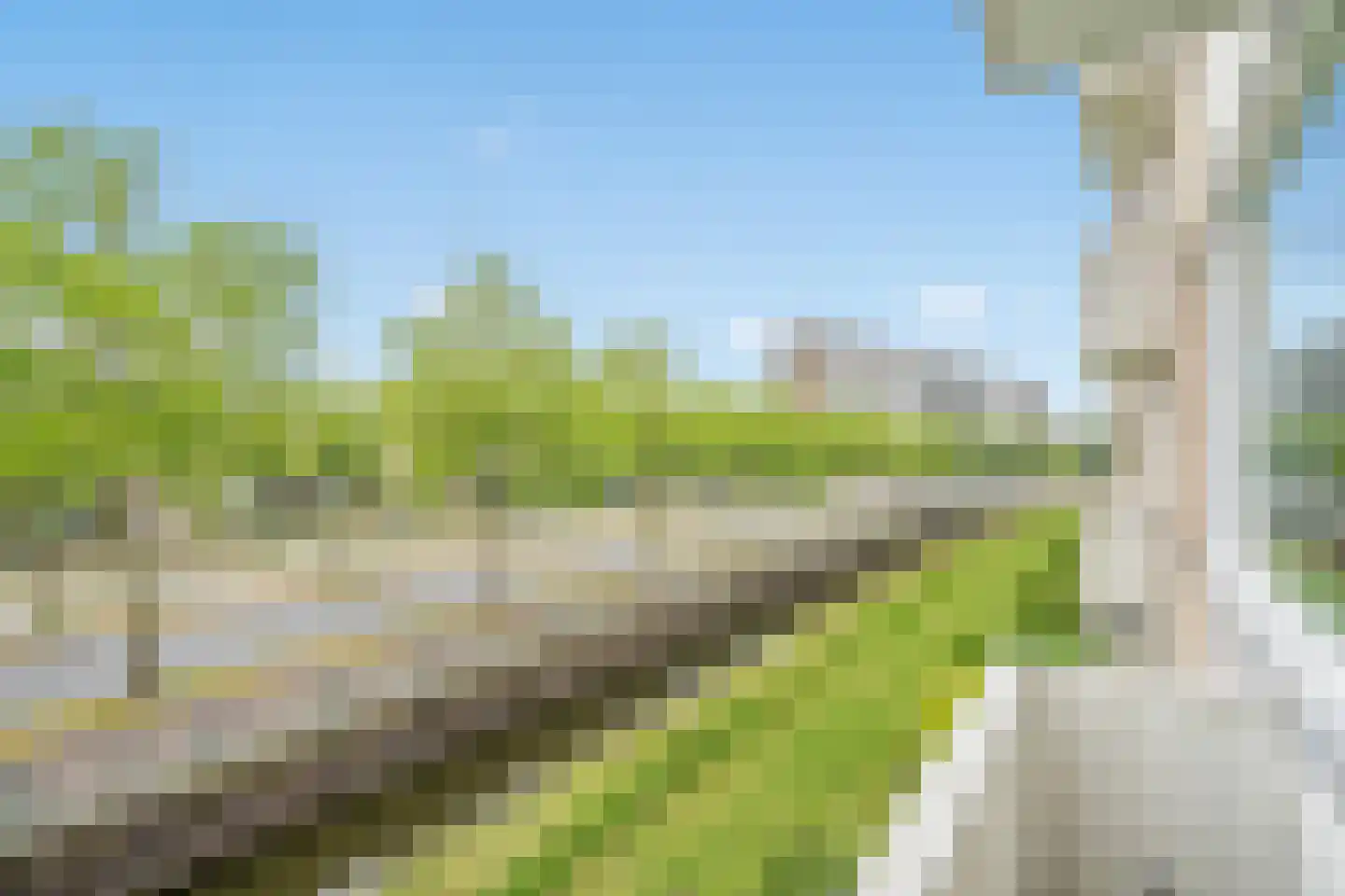 Buziaulaan 81 Rijswijk thumbnail 4