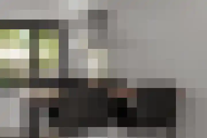 Buziaupad 21 Almere thumbnail 19