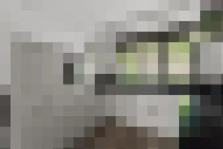 Buziaupad 21 Almere thumbnail 20