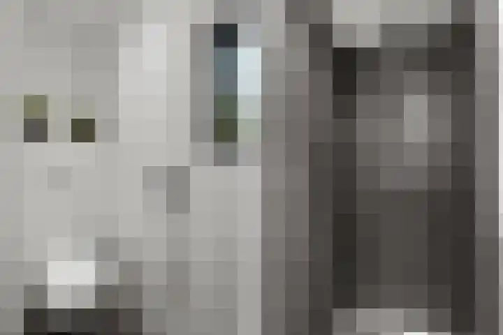 Buziaupad 21 Almere thumbnail 32