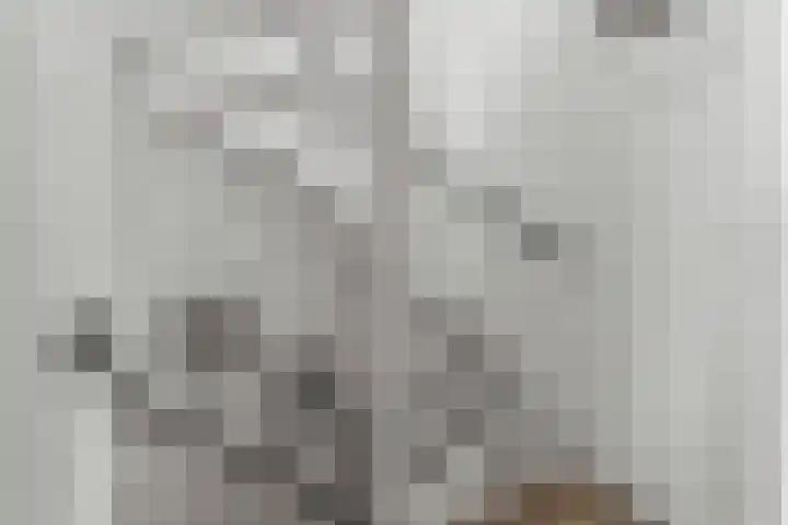 Buziaupad 21 Almere thumbnail 33