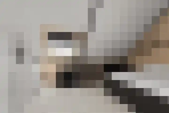 Buziaupad 21 Almere thumbnail 35