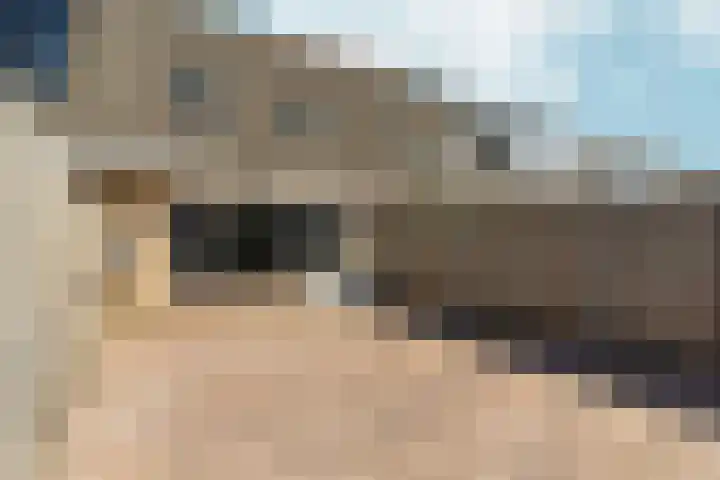 Buziaupad 21 Almere thumbnail 37