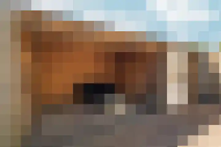 Buziaupad 21 Almere thumbnail 38