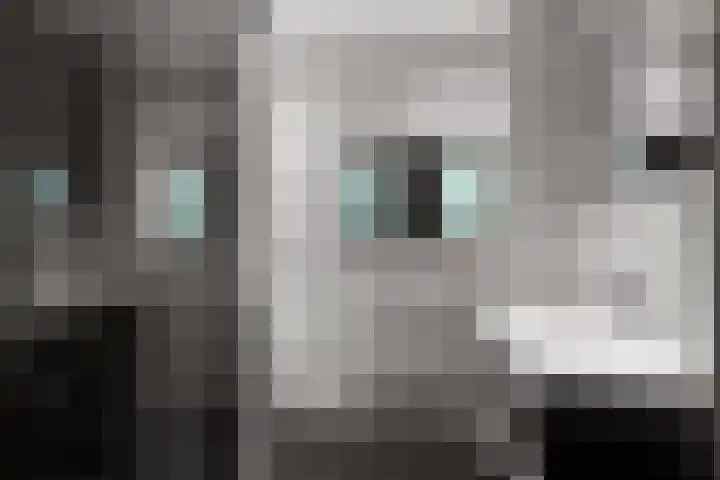Buziaupad 21 Almere thumbnail 4