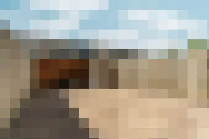 Buziaupad 21 Almere thumbnail 40