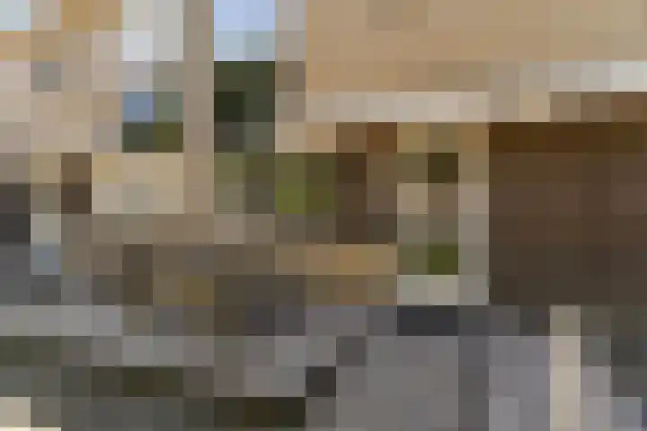 Buziaupad 21 Almere thumbnail 41