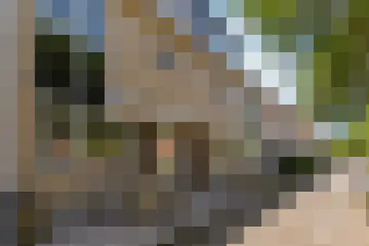 Buziaupad 21 Almere thumbnail 42