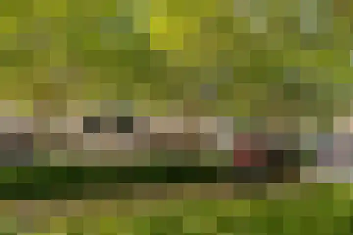 Buziaupad 21 Almere thumbnail 43