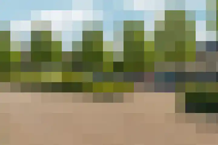 Buziaupad 21 Almere thumbnail 45