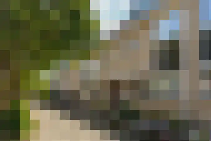 Buziaupad 21 Almere thumbnail 5