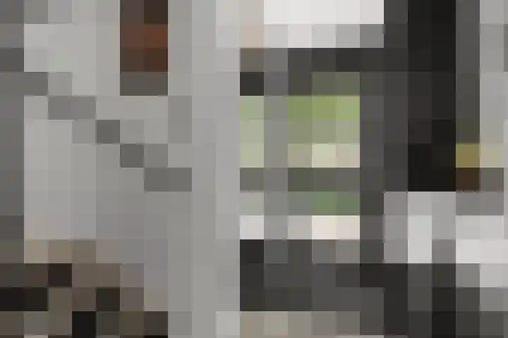 Buziaupad 21 Almere thumbnail 6
