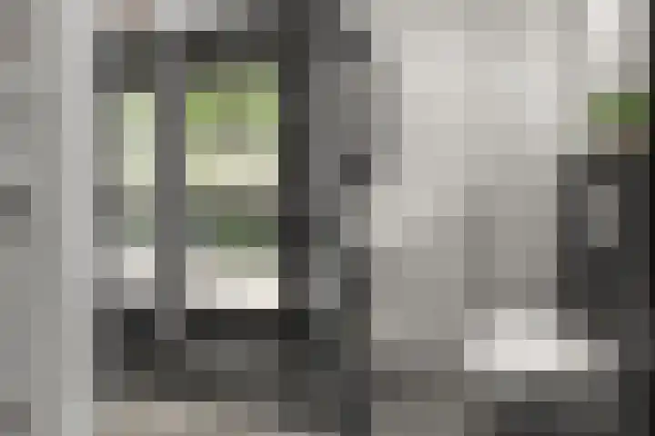 Buziaupad 21 Almere thumbnail 7