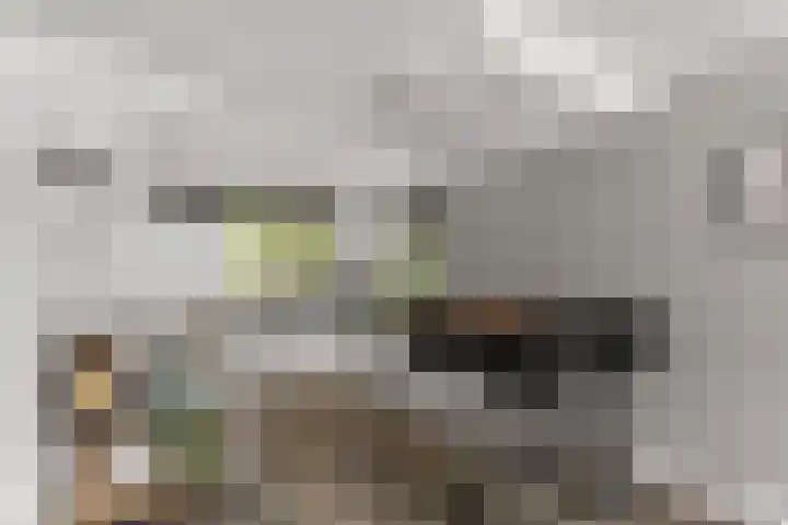 Buziaupad 21 Almere thumbnail 9