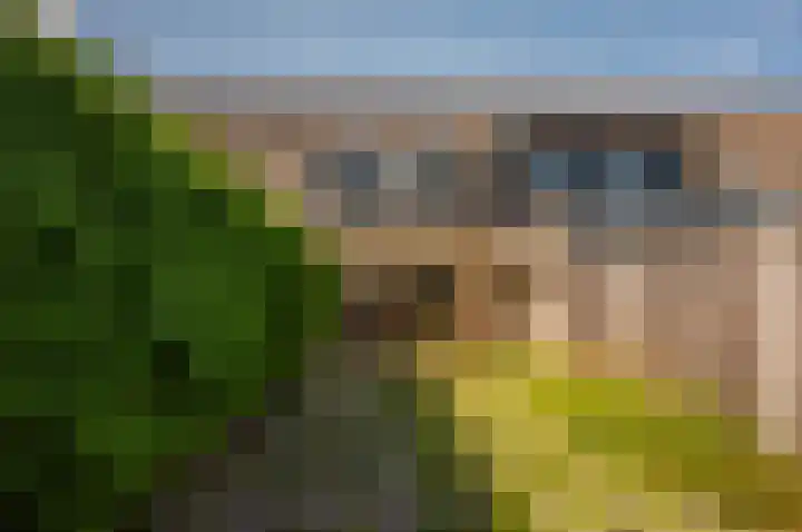Buziaupad 6 Almere thumbnail 24